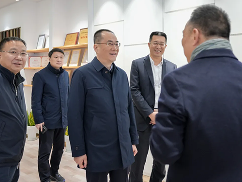 张家港市市委书记走进弗朗茨展开调研工作，鉴证家用电梯发展新纪元